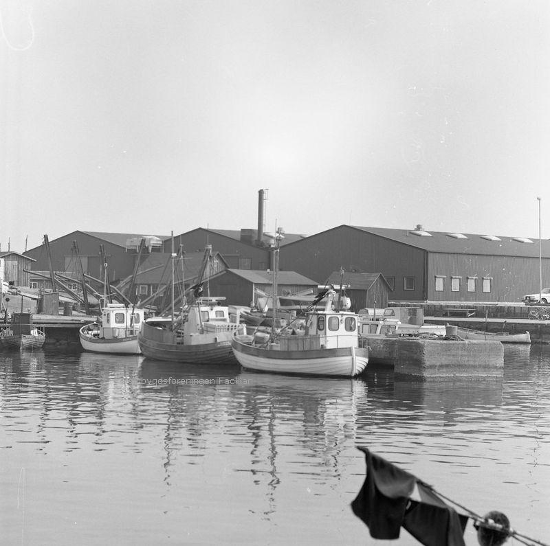 HHF_0604B